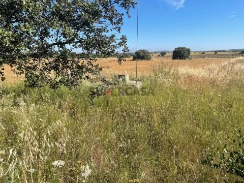 Terreno em Trigaches e São Brissos, Beja