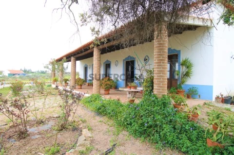 Quinta T4, Alentejo