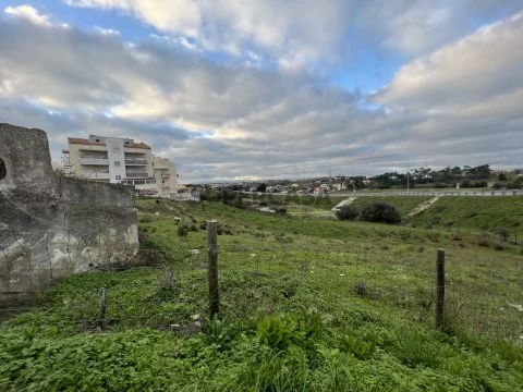 Terreno