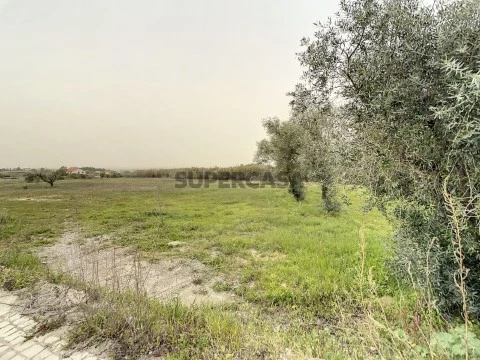 Terreno Cabanas (5)