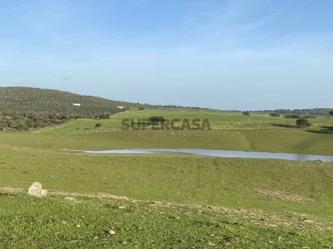 Herdade no Alentejo