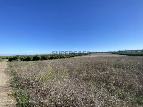 20E3EF69-D197-4833-925F-C33E7C0EE745