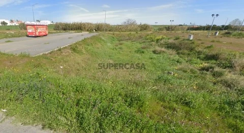 Lote 163
