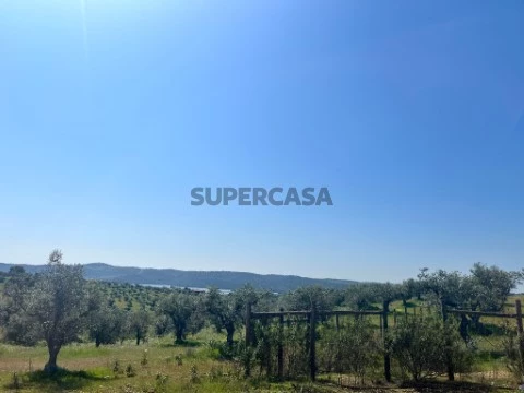 Terreno