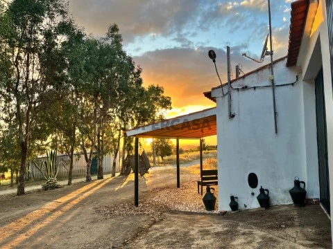 Santo aleixo restauração