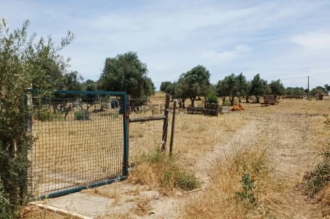 Terreno em Estrada de Aljustrel, São João de Negrilhos, Aljustrel