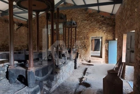 Quinta com Potencial Turistico e 5ha de Terreno Mata Castelo Branco