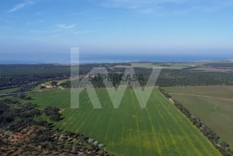 Herdade 248ha localizada nas proximidades de Porto Covo e a uns meros passos da tranquila Praia dos Aivados, no litoral alent...