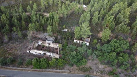 Antigas Minas e 20 ha de Floresta Gatas em Sarzedas, Castelo Branco