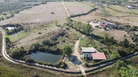 Herdade com cerca de 50ha em zona de Regadio do Ladoeiro Idanha a Nova