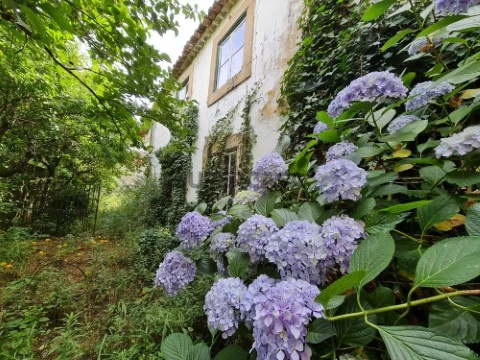 Casa Brasonada para recuperar em Idanha-a-Nova .