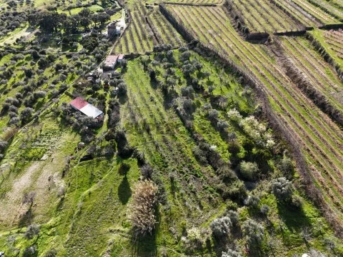 Terreno de 1,37ha no lugar de Anjo da Guarda Velho Serra da Gardunha Alpedrinha .