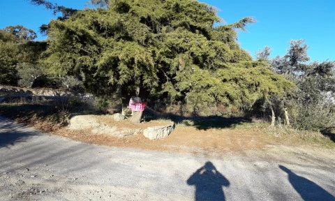 Lote em Fornos de Algodres, Fornos de Algodres