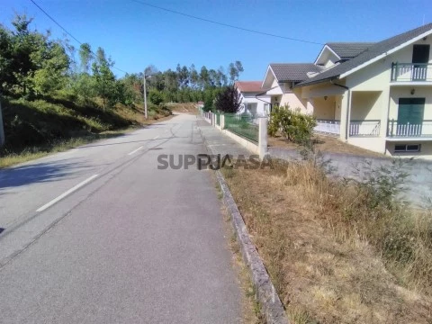 Lote em Calde, Viseu