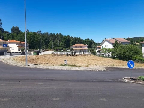 Lote em Sátão, Sátão