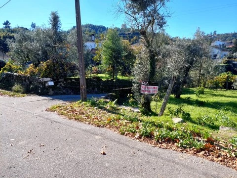 Terreno Rústico em Ventosa, Vouzela