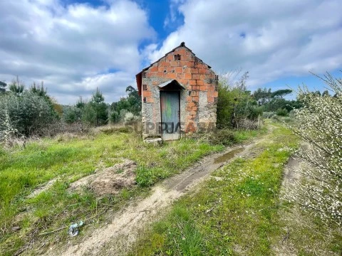 Terreno Misto em Santar e Moreira, Nelas