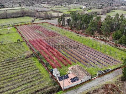 Quinta T0 em Muxagata, Fornos de Algodres