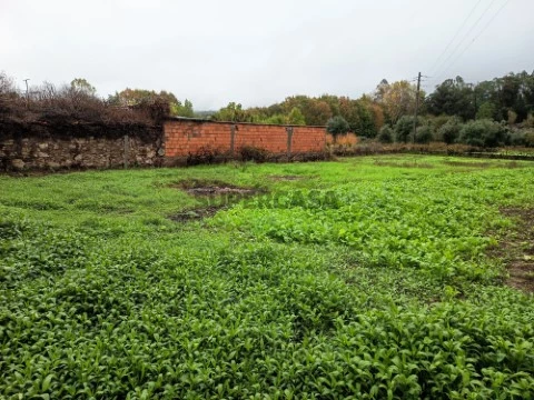 Terreno