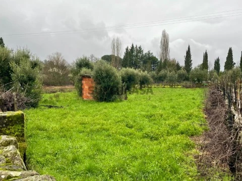 Terreno