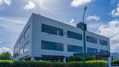 _DSC57422 Web