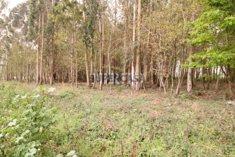 Terreno em Aveleda, Vila do Conde