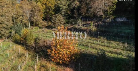Terreno em Goães, Amares