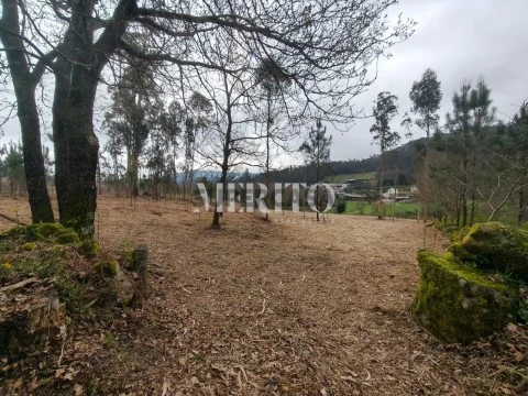 Terreno em Cossourado, Barcelos