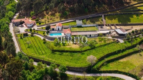 Farm 5 bedrooms in Cinfães, Cinfães