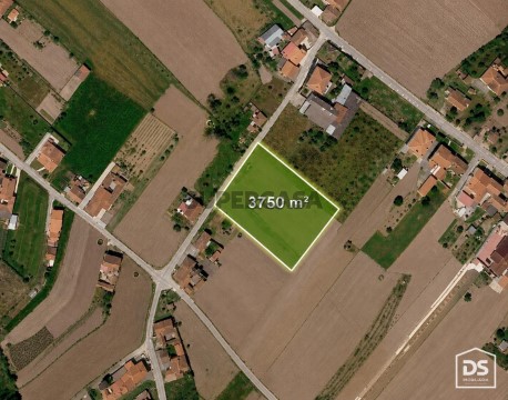 Jardim