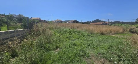 Vista geral dos Lotes