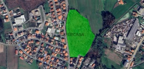 FOTO GOOGLE MAPS
