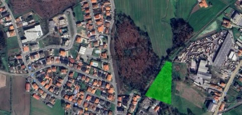 FOTO GOOGLE MAPS