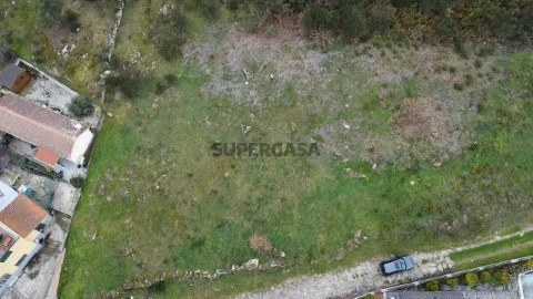dji_fly_20250312_162401_0_1741796641765_photo_low_quality
