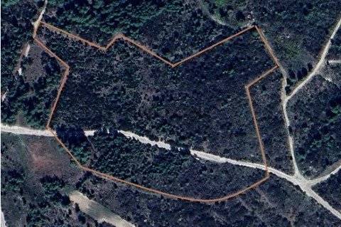 Captura de ecrã 2025-07-22 212700