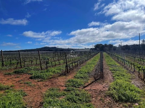 Quinta Rural T4 em Arcos, Estremoz