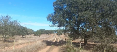 Terreno Rústico em Barbacena e Vila Fernando, Elvas
