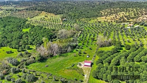 Cattle Ranch 1 卧室 在 Alqueva, Portel