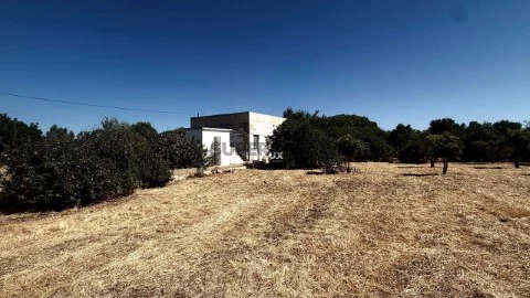 农村土地 在 Pechão, Olhão