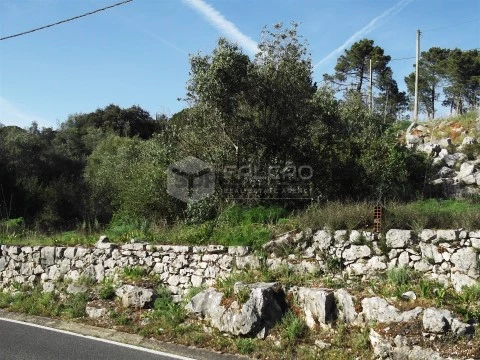 Terreno em Mira de Aire, Porto de Mós