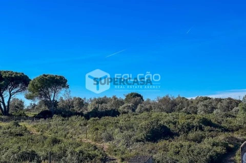 Terreno em Almoster, Santarém