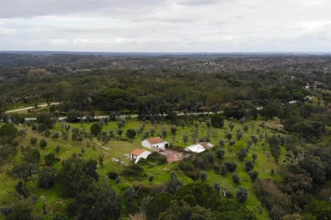 DJI_0431_2024-03-02_01-27-06_screenshot