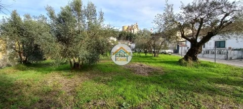 Terreno em Souselas e Botão, Coimbra