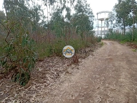 Terreno em Águeda, Águeda