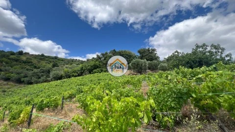 Terreno em Andrães, Vila Real