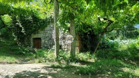 Boerderij 1 kamer Op Moldes, Arouca