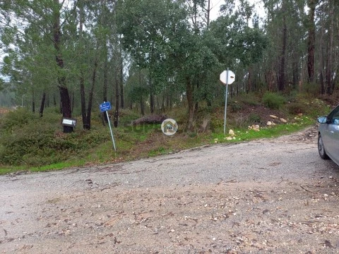 Terreno em Semide e Rio Vide, Miranda do Corvo