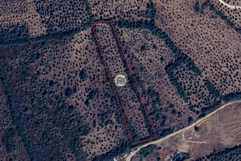 Terreno em Borba (Matriz), Borba