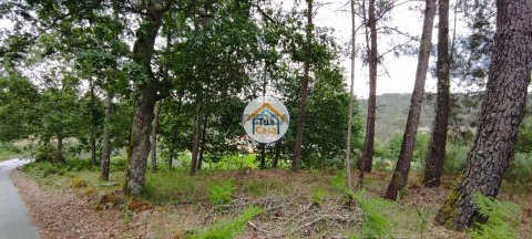 Terreno em Aguiar da Beira e Coruche, Aguiar da Beira