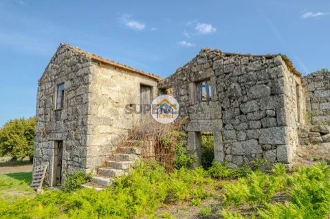 Quinta T1 em Tavares (Chãs, Várzea e Travanca), Mangualde